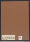 Cerataulus levis var. sinensis [sic] Grun. (de-Toni-Nr.: Genus 173, Species 4435) Zeichnungen Sammlung Grunow Mappe 04369 (Herbarium_W_Grunow_drawings_Folder_04369)